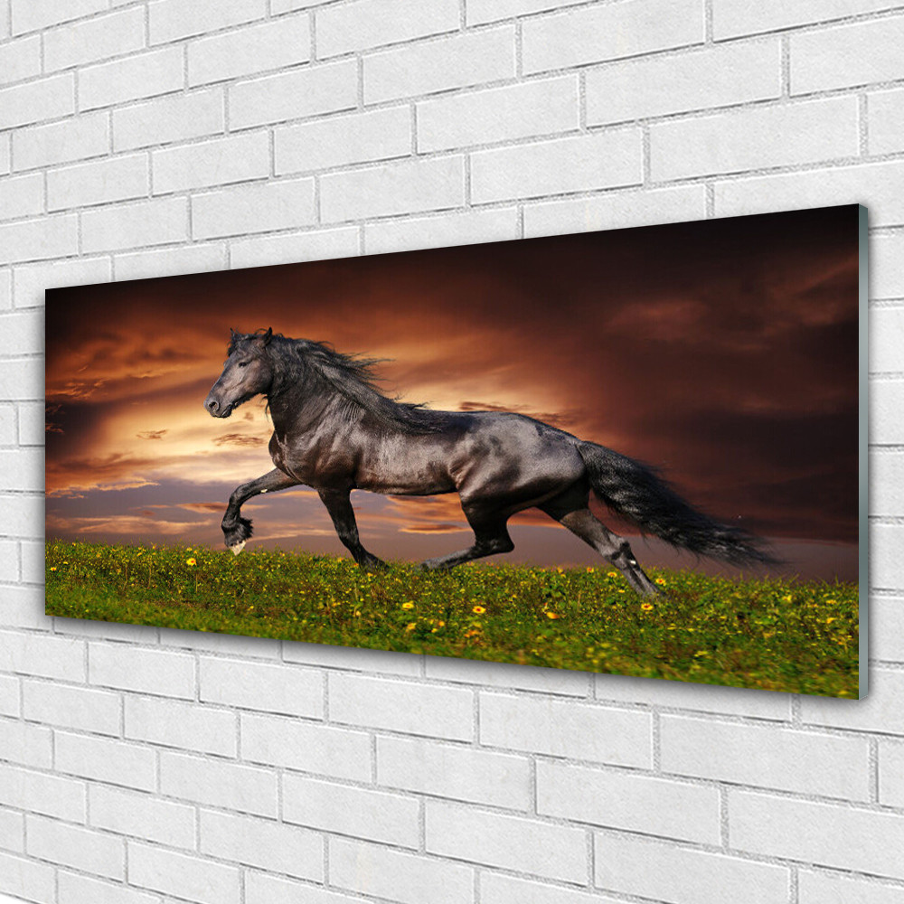 Tableau sur verre acrylique cheval noir panoramique 125x50 cm de prairie
