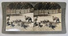 Foto 2 di 4