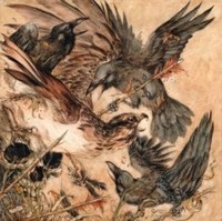 Valkyrie - Shadows - Cd - G1398Z