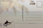 FISH OF THE CARIBBEAN -  Colorful Postcard showing various fish Snapper/Shark — photo 2