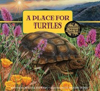 A Place For Turtles | Melissa Stewart | Englisch | Taschenbuch | 2019