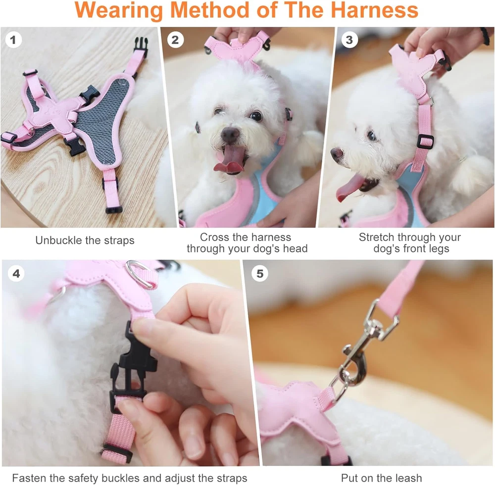 _ Dog Harness and Leash Set for Small Sized Dogs, Lightweight & Soft Puppy Harne _ Dog Harness and Leash Set for Small Sized Dogs, Lightweight & Soft Puppy Harne