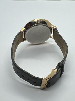 Skagen Ditte SKW2216 Women display picture 2