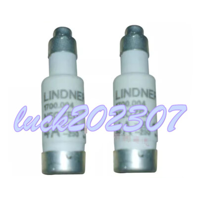 1PC NEW Germany lindner 400v 250v 500v D01 D02 DIII NEOZED DIAZED fuse#ZJ