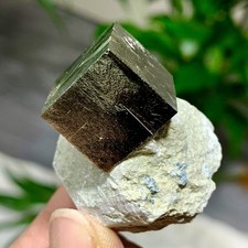 55G Atone Grezzo Naturale Pirete Spagnolo Cristallo Cubico Quarzo Campione Minerale