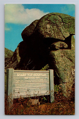 Postcard Sharp Top Mountain Observation Point Bedford Virginia  C 9