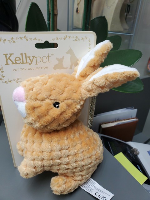 kellytoy bunny dog toy