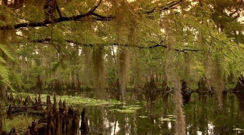 Ma Marie's Conjure Oils Anointing Oils Southern Folk Hoodoo Magic Rootworker - Picture 3 of 29