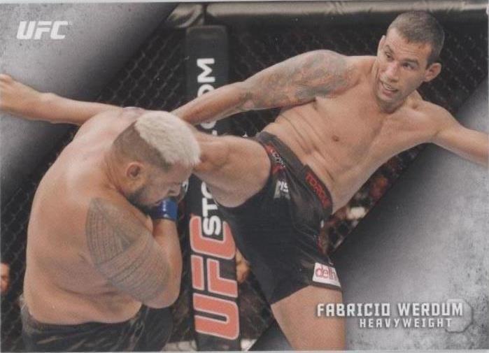 2015 Topps UFC Knockout - Fabricio Werdum #89 - 1 of 1