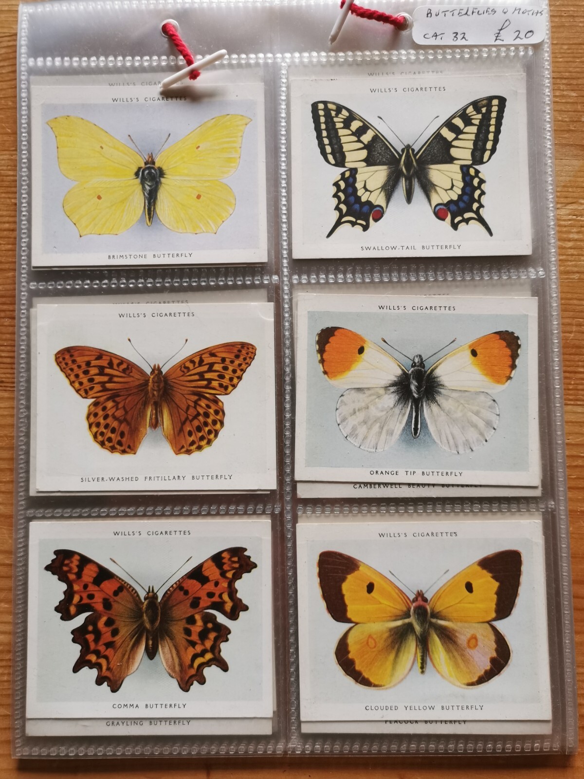Butterflies And Moths, Full Set 40 Large Cigarette Cards (Wills) eBay