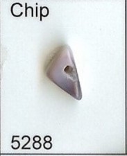 5288 Chip Wampum Bead Quahog Face Drilled