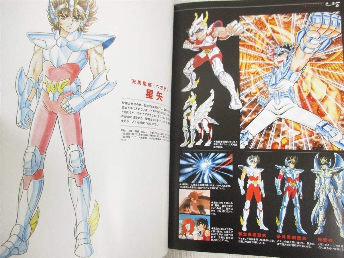 SAINT SEIYA 30th Anniv. Exhibition Brochure Art Works Fan Book