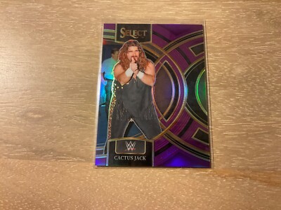 2024 Panini Select WWE Cactus Jack  Premier Level Purple Prizm 18/99 SP