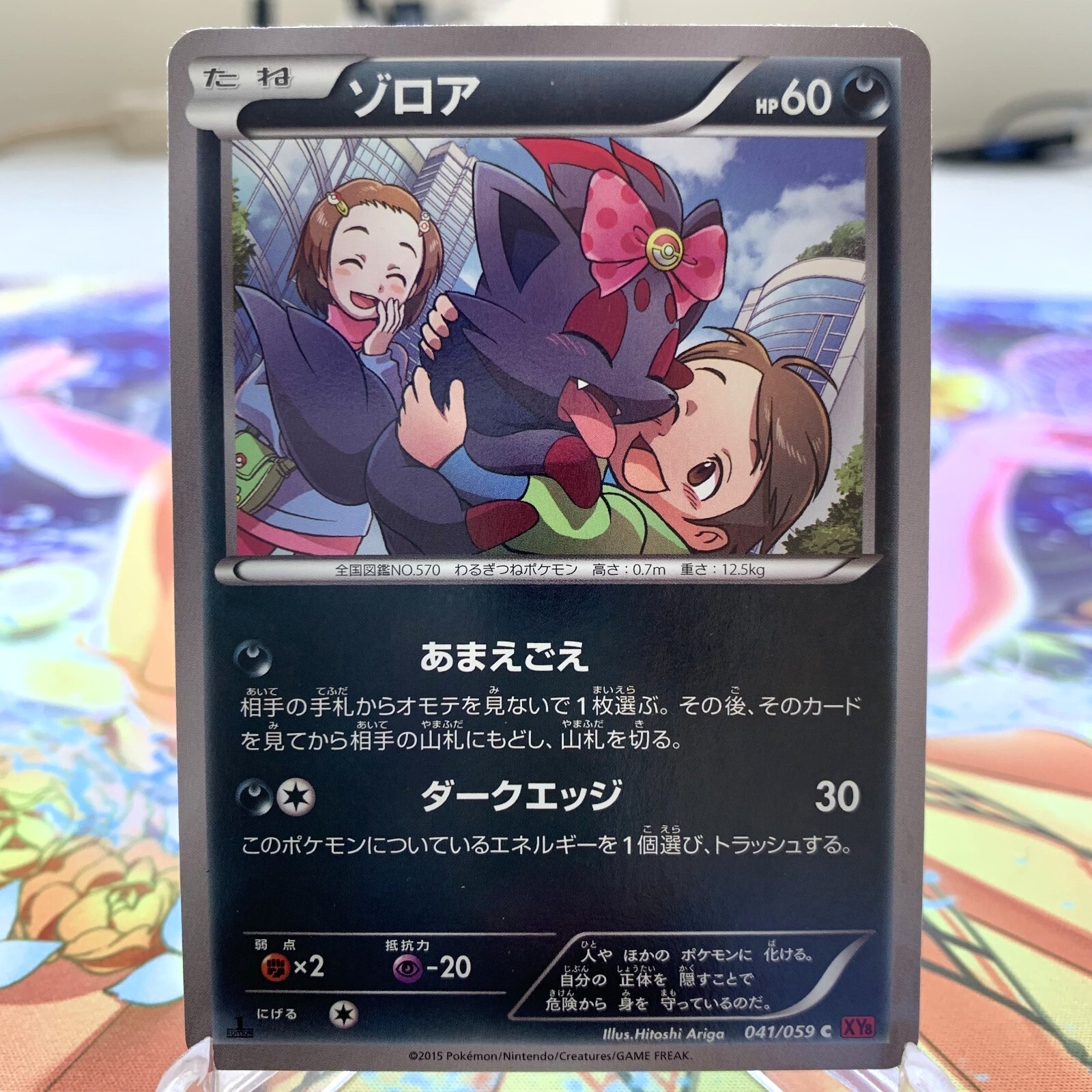Zorua 041/059 1st Edition XY8 Japanese Pokemon Card ~ MP