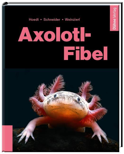 Thumbnail - Axolotl-fibel Werner Hoedt