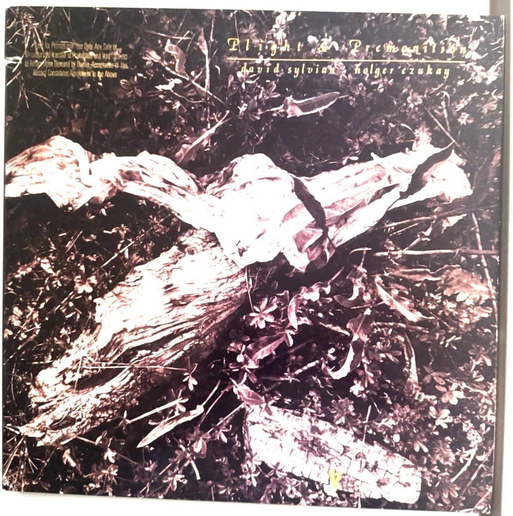 David Sylvian Vinyl Records for sale | eBay