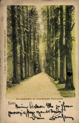 Ak Eutin in Ostholstein, Lindenallee, Schlosspark,  Bäume, Weg - 4999392