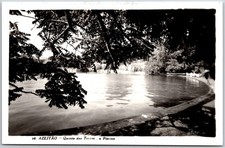 Azeitão Portugal, Quinta das Torres, Curved Swimming Pool Lush Trees, Postcard