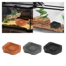 Reptile Feeding Dish Food Bowl Food and Water Dish