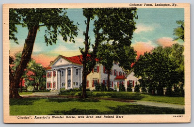 #ad Calumet Farm Lexington KY Postcard Citation America#x27;s Wonder Horse Linen AA874 $11.35