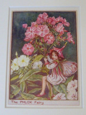 Vintage Flower Fairies Print & Mount The Phlox Fairy Cicely Mary Barker c1930s