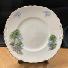 Colclough Bone China Plate 9 inch Diameter.