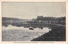 77.N 53122. Bas-Samoreau. Ferme. Mucche Per Abbeveratoio