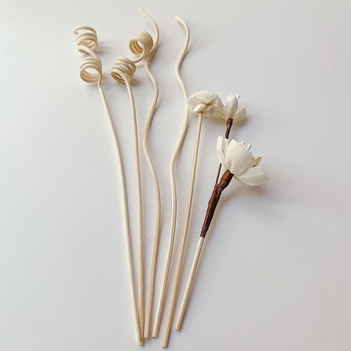 Dried Flowers Rattan Fragrance Diffuser Stick Reed Replacement Aroma Home Decor - Picture 20 of 36