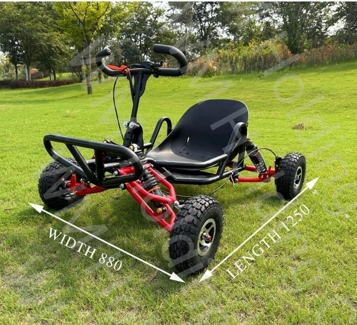 GO- Kart mit 100ccm Benzin Motor - Bild 2 von 4