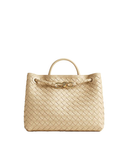BOTTEGA VENETA Andiamo Medium $5700 Tufo Leather Top Handle Bag New/Authentic