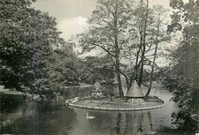 AK - Freiberg Sachsen - Pionierpark - Insel im Teich mit Schwan
