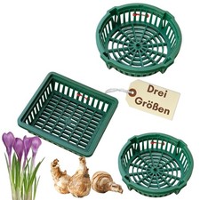 Pflanzkörbe für Blumenzwiebeln Pflanzkorb Tulpenzwiebeln Pflanzschalen Zwiebel