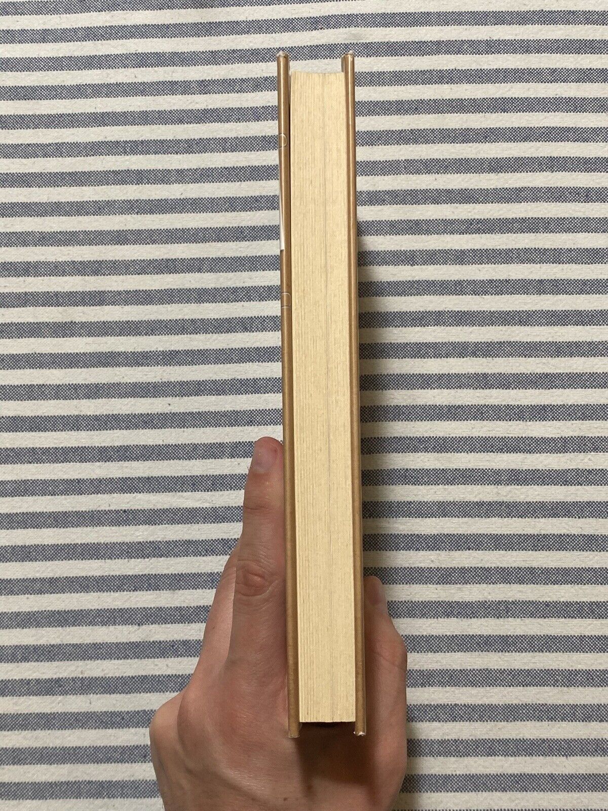 Foto 4 di 12