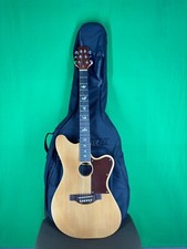 Chitarra Elettrica Artigianale Con Custodia (leggere descrizione)