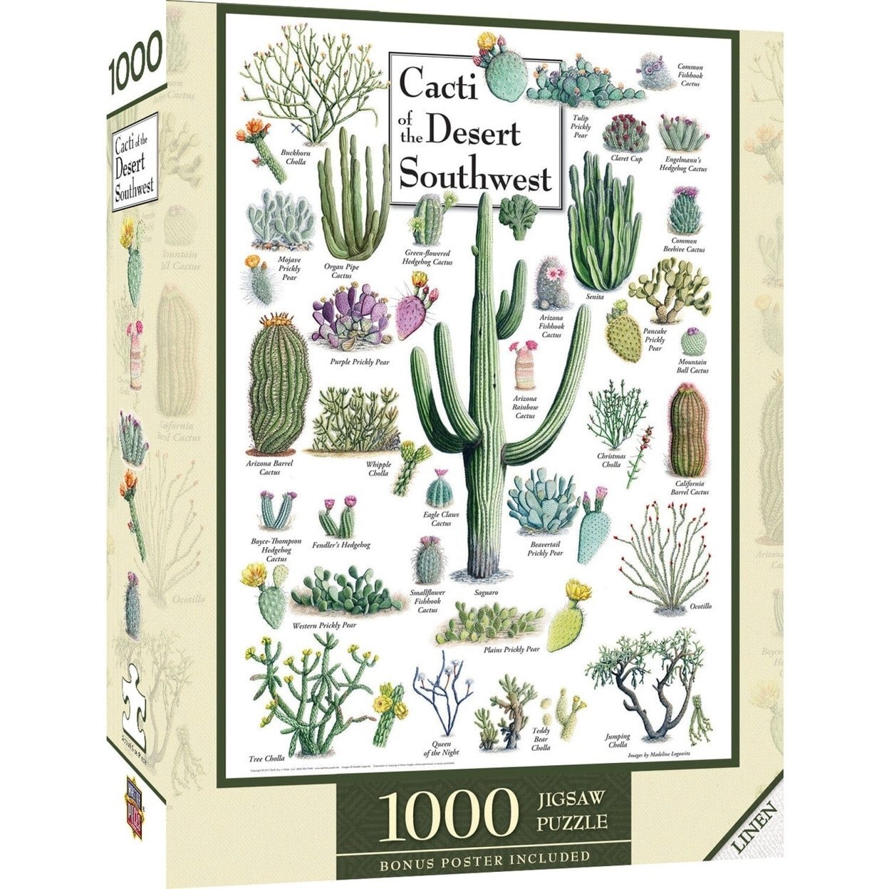 Cacti Of The Desert Southwest 1000 Piece Jigsaw Puzzle Made In Usa Recycled