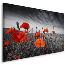 CANVAS Leinwand Bilder XXL Wandbilder rote MOHNBLUMEN schwarz-weiße Wiese 1627