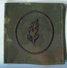 Bundeswehr :Führer Fallschirmjäger Spezialeinheit-auf sich gestellten Truppe(37)