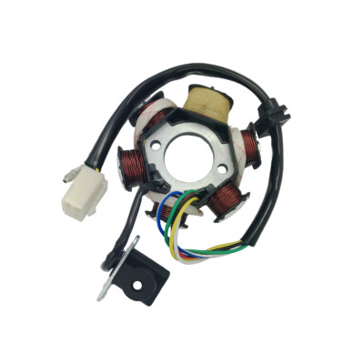 5 Wire 6 Coil Stator Magneto 50cc 110cc 125cc 150cc ATV Quad Scooter Moped Bike