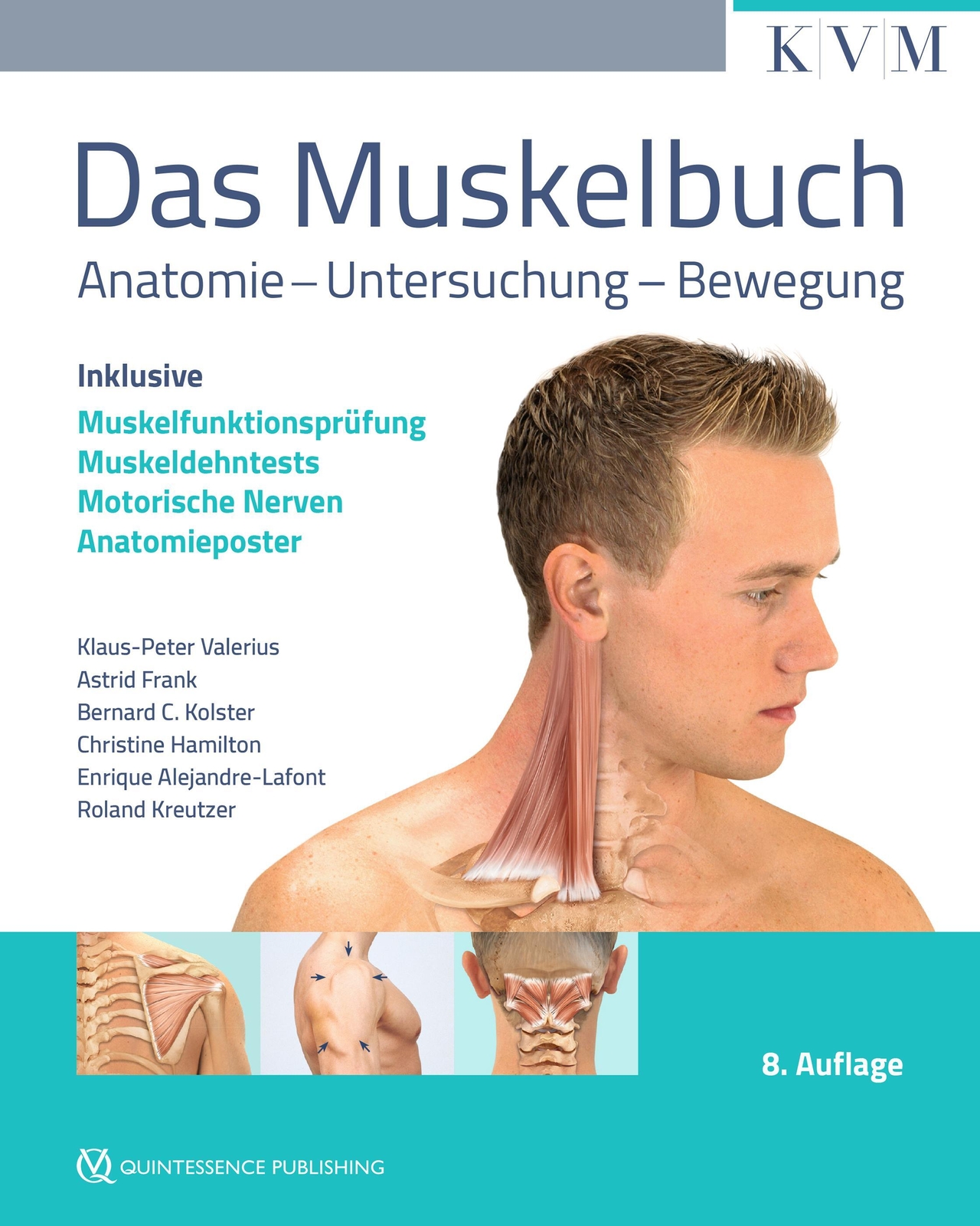 Thumbnail - Das Muskelbuch | Klaus-peter Valerius (u. A.) | Taschenbuch | 461 S. |