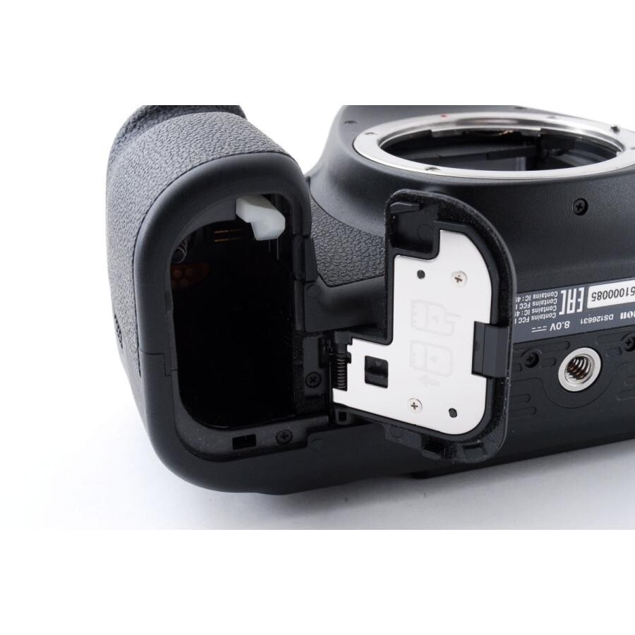 Canon EOS 6D Mark II Standard, Super Telephoto, and Prime Triple