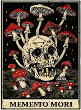 Diamond Art Kits for Adults Beginner, Skeleton DIY Diamond Painting Kits 5D Diam