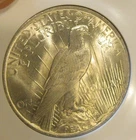 1923 Peace Silver Dollar - BU, Great luster, Lightly toned, 5358-1