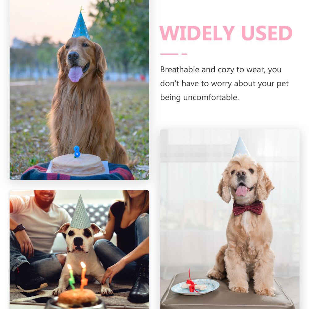 APL Cappello Compleanno Saliva Set Cane Sciarpa Compleanno Cane Corona Compleanno