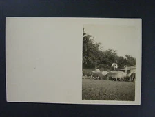 Man Feeding Pigs Hogs Farming Farm Real Photo Postcard RPPC c1910 Antique