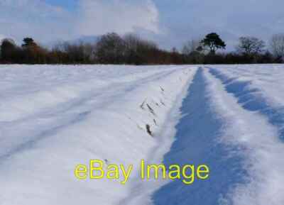 Foto 6x4 Schneegefüllte Furchen bei Yeovil Der Schnee hat schon begonnen um 2009