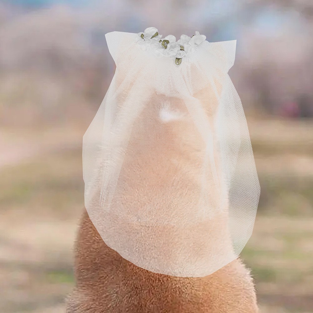 Accessori per Cani per Matrimonio foto 5