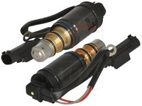 Acauto AC-02DN06 Regelventil, Kompressor FüR Bmw,Land ROVER,MERCEDES-BENZ