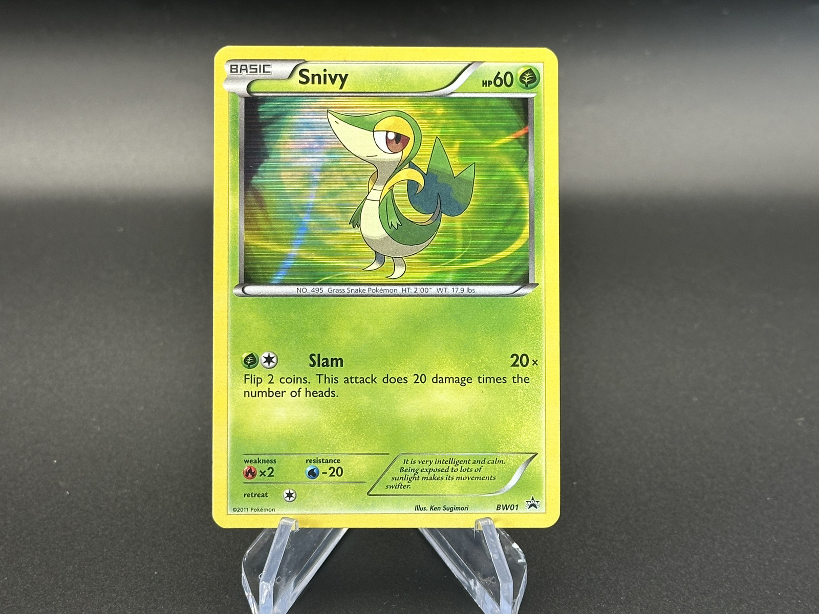 Snivy - Holo - #BW01 Black Star Promo - Pokémon TCG - 2011