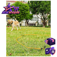 Schleppleine FüR Hunde 10M Orange Lange Leine HundezubehöR Outdoor