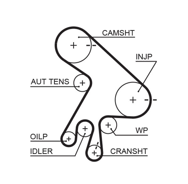 Fits GATES 5562XS TIMING BELT 2.0 TD  ⭐UK Stock⭐